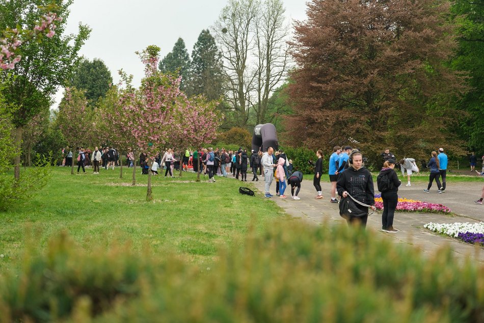 Łódź. Botaniczna Piątka w Ogrodzie Botanicznym w Łodzi. Uśmiech Łodzian i biegowe emocje