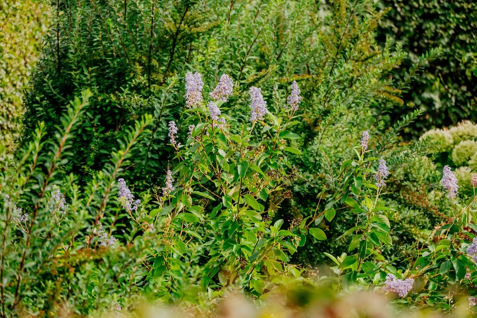 Łódź. Jesień w Ogrodzie Botanicznym w Łodzi. Tam z pewnością pokochasz tę porę roku!