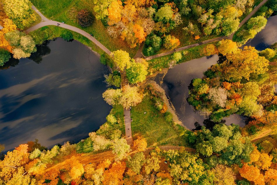 Łódź. Jesienna Łódź z lotu ptaka. Te zdjęcia zapierają dech w piersiach