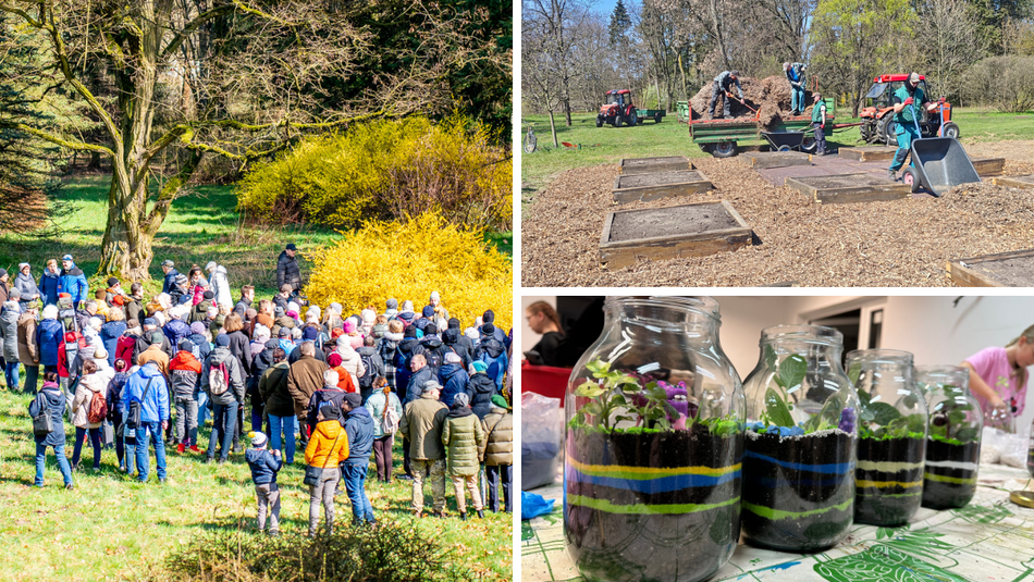 Łódź. Nowa przestrzeń w Ogrodzie Botanicznym w Łodzi. Zobacz ją podczas spacerów i warsztatów
