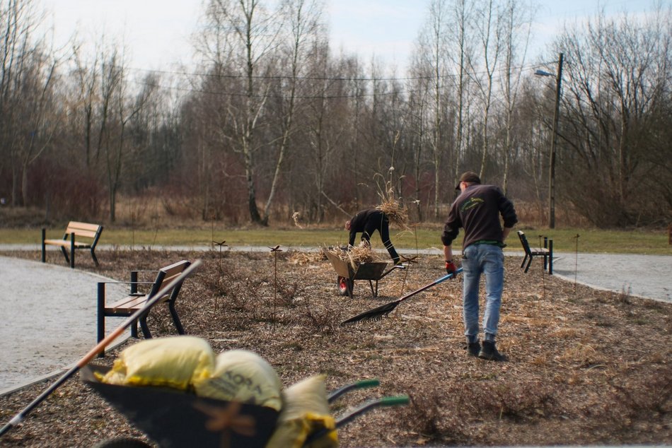 Łódź. Wiosenne porządki w Parku na Janowie. Tak Łódź dba o zieleń po zimie!