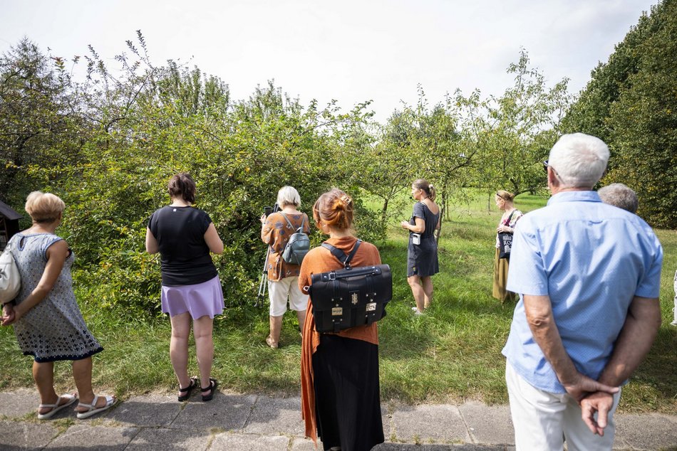 Warsztaty w Ogrodzie Botanicznym w Łodzi