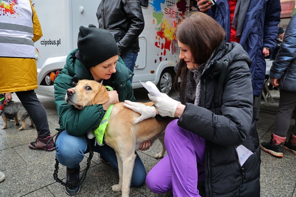Parada Kundelków w Łodzi