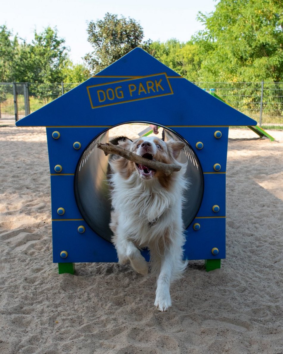 Łódź. Z czworonogiem na plac zabaw? W Łodzi powstaną kolejne psie parki