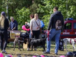 Psiejski piknik rodzinny na Uroczysku Lublinek w Łodzi. Co to była za zabawa!