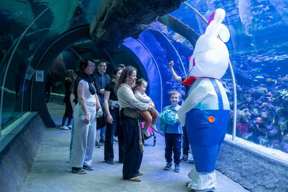 Łódź. Wielkanocny zając w Orientarium Zoo Łódź
