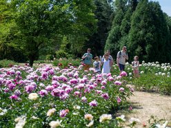 Łódź. Przyszłość Ogrodu Botanicznego w Łodzi w Twoich rękach!