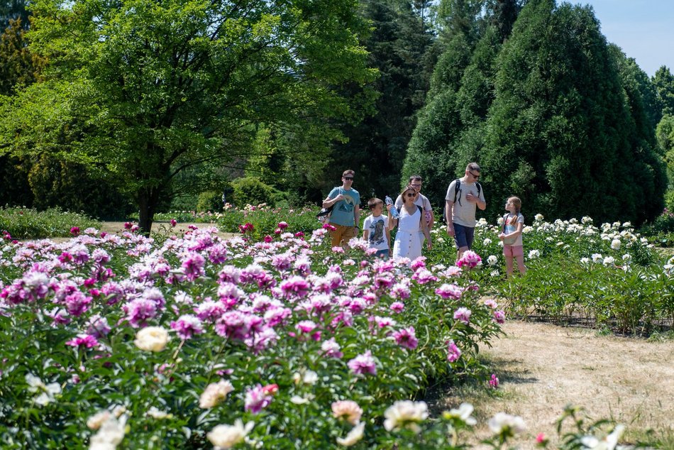 Łódź. Przyszłość Ogrodu Botanicznego w Łodzi w Twoich rękach!
