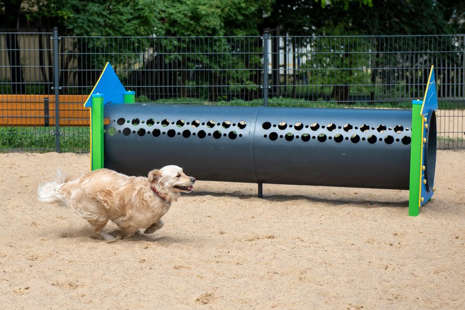 Łódź. Z czworonogiem na plac zabaw? W Łodzi powstaną kolejne psie parki