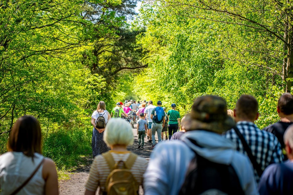grupa ludzi spaceruje w naturze