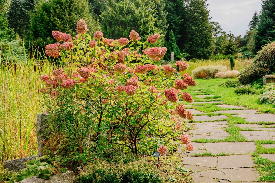 Łódź. Jesień w Ogrodzie Botanicznym w Łodzi. Tam z pewnością pokochasz tę porę roku!