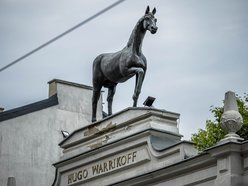 Łódź. „Lecznica pod koniem" na sprzedaż!