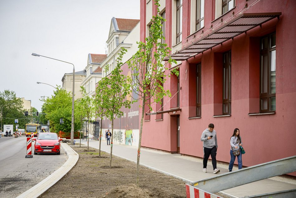 Nowe drzewa na Legionów, Nowomiejskiej i Sterlinga w Łodzi. Śródmieście coraz bardziej zielone!