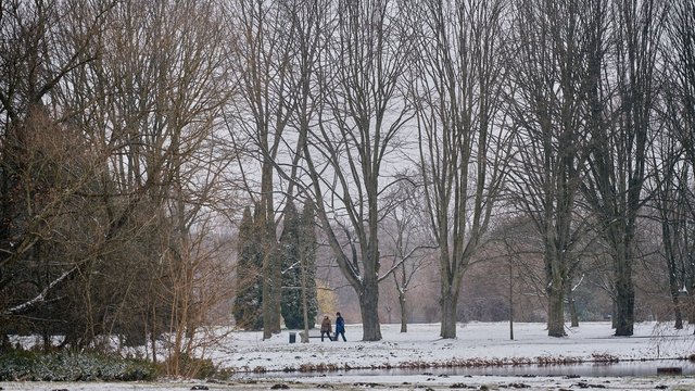 Tropienie zwierząt i spacer z ornitologami. Niezwykłe zajęcia w Ogrodzie Botanicznym w Łodzi