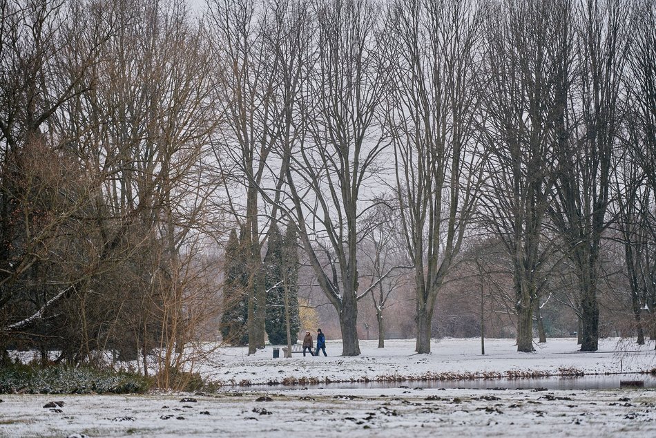 Łódź. Ogród Botaniczny w Łodzi