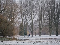 Łódź. Ogród Botaniczny w Łodzi