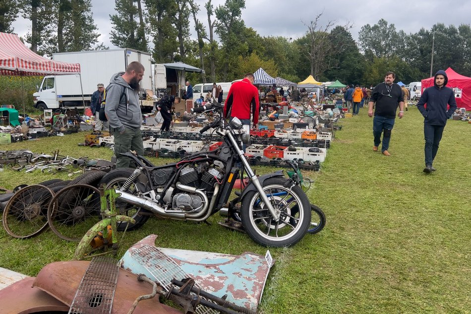 fot. Paweł Łacheta