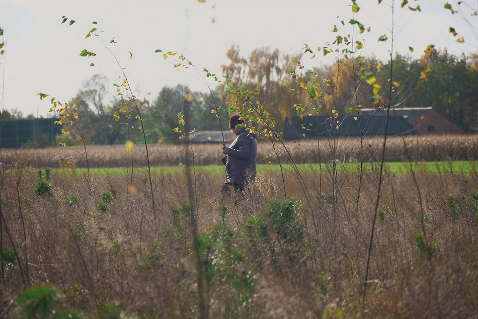 Łódź. Przybędzie aż 15 tysięcy nowych drzew
