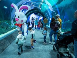 Łódź. Wielkanocny zając w Orientarium Zoo Łódź