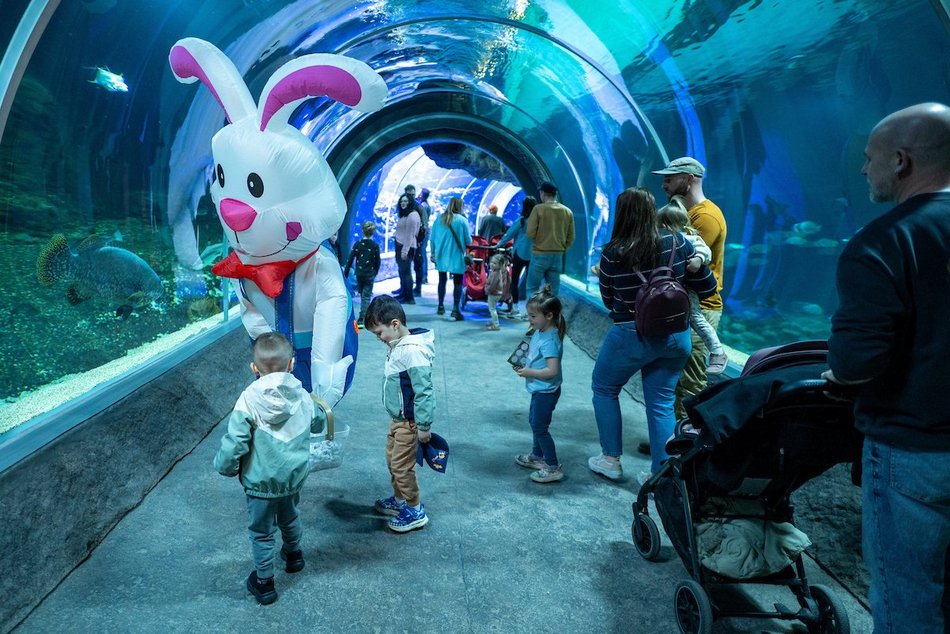 Łódź. Wielkanocny zając w Orientarium Zoo Łódź