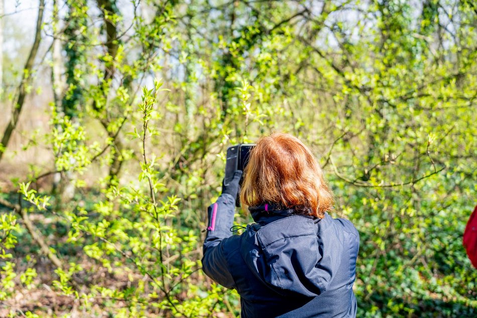 spacer w ogrodzie botanicznym