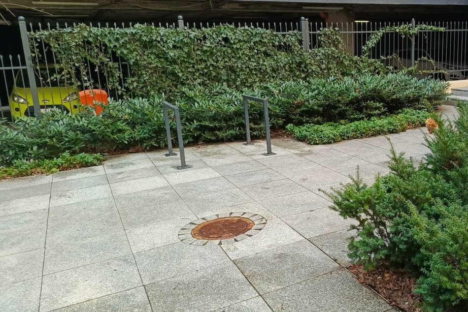 Wiosenne porządki w Łódzkich Nieruchomościach. Podwórka, elewacje i klatki schodowe na błysk!