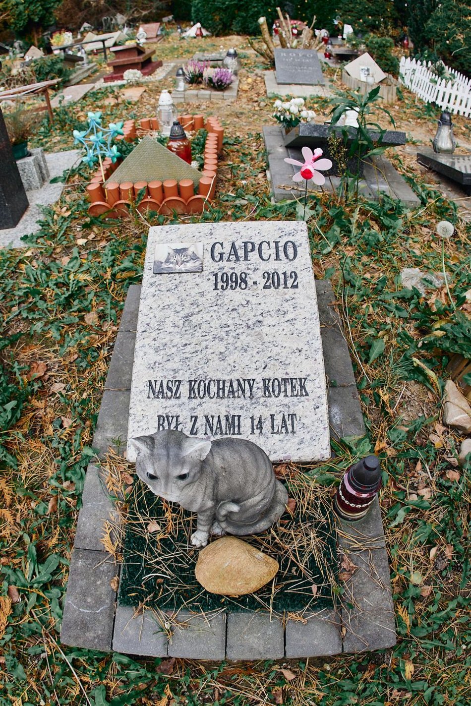 Cmentarz dla zwierząt w Łodzi
