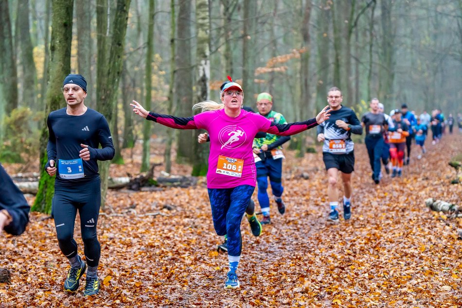 Cookie Run w Lesie Łagiewnickim w Łodzi