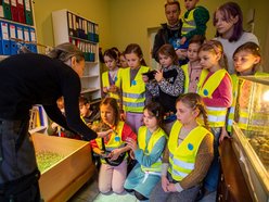 Wolne miejsca na ferie zimowe 2026 w Łodzi. Ile jeszcze dzieci może jeszcze z nich skorzystać?