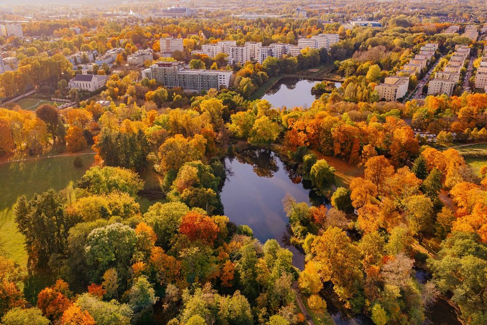 Łódź. Jesienna Łódź z lotu ptaka. Te zdjęcia zapierają dech w piersiach