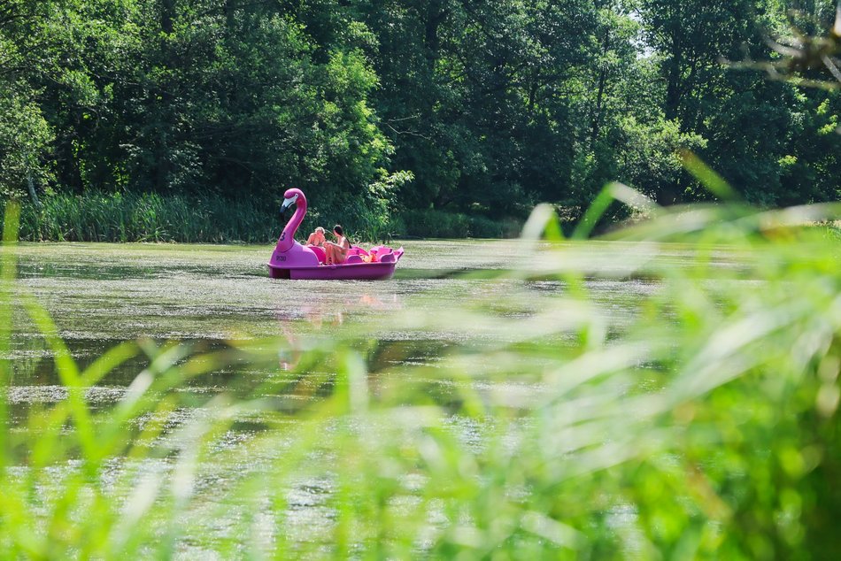 Łódź. Park na Młynku w Łodzi