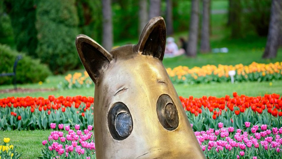 Łódź. Muminek w Ogrodzie Botanicznym w Łodzi. Wpadnij na odsłonięcie rzeźby na szlaku „Bajkowej Łodzi”!