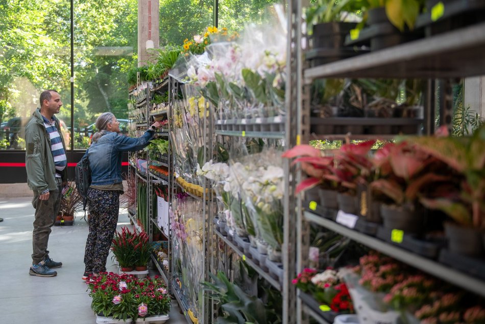 Pierwsze Targi roślin egzotycznych w Orientarium Zoo Łódź. Ale okazy!