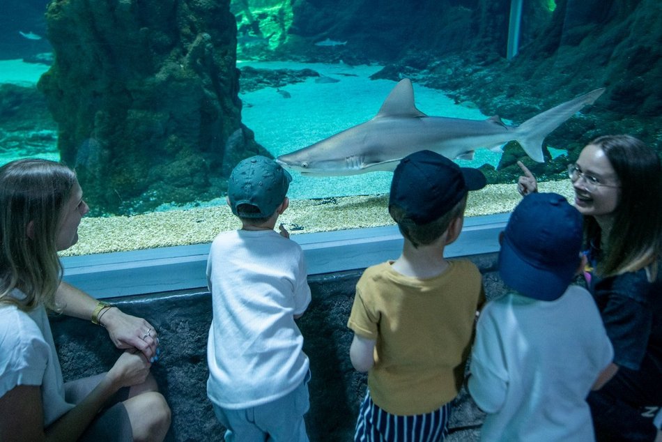 Łódź. Orientarium Zoo Łódź
