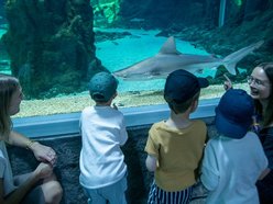Łódź. Orientarium Zoo Łódź