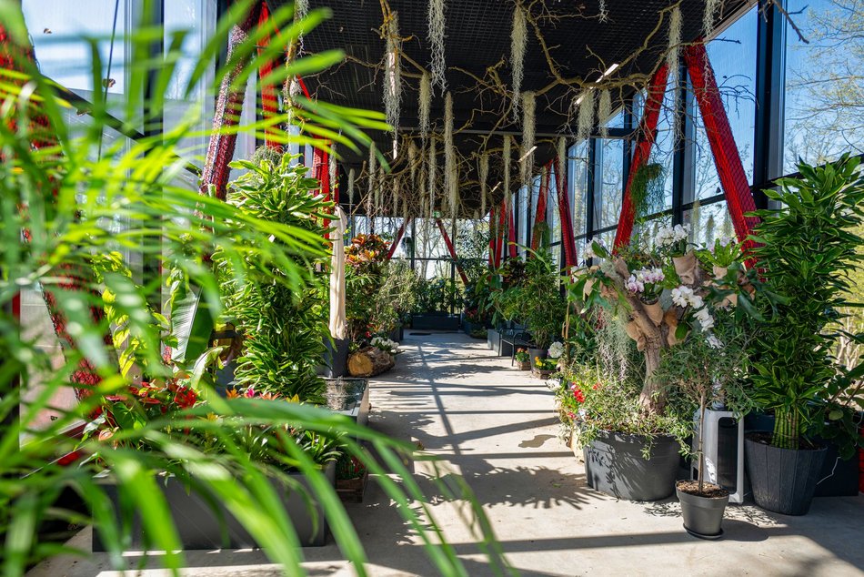 Łódź. Nowa motylarnia w Orientarium Zoo Łódź już otwarta! Największe takie miejsce w Polsce