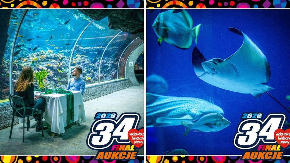 Łódź. Orientarium Zoo Łódź gra z WOŚP 2026 w Łodzi. Weź udział w wyjątkowych aukcjach