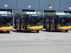 MPK Łódź zamówiło 36 nowych autobusów! Aż 14 elektryków wyjechało już na ulice