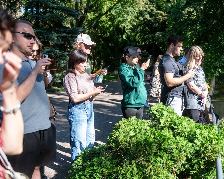 Dzień pandy małej w Orientarium Zoo Łódź