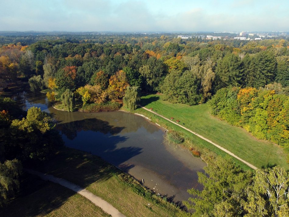 Złota polska jesień w parku na Zdrowiu