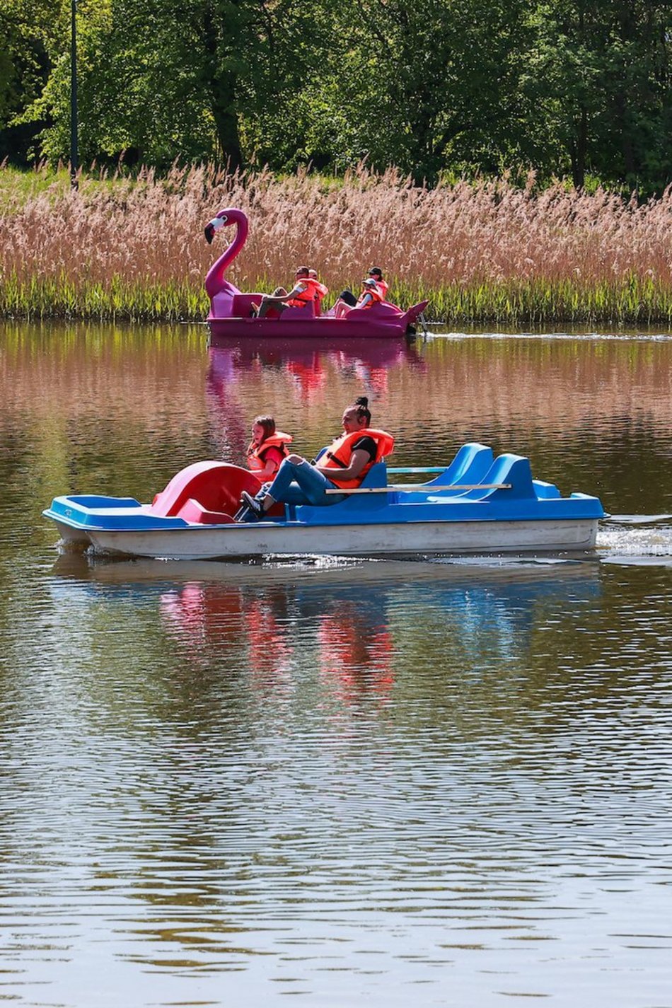 Łódź. Piknik na Stawach Jana. Masa atrakcji dla łodzian w każdym wieku!