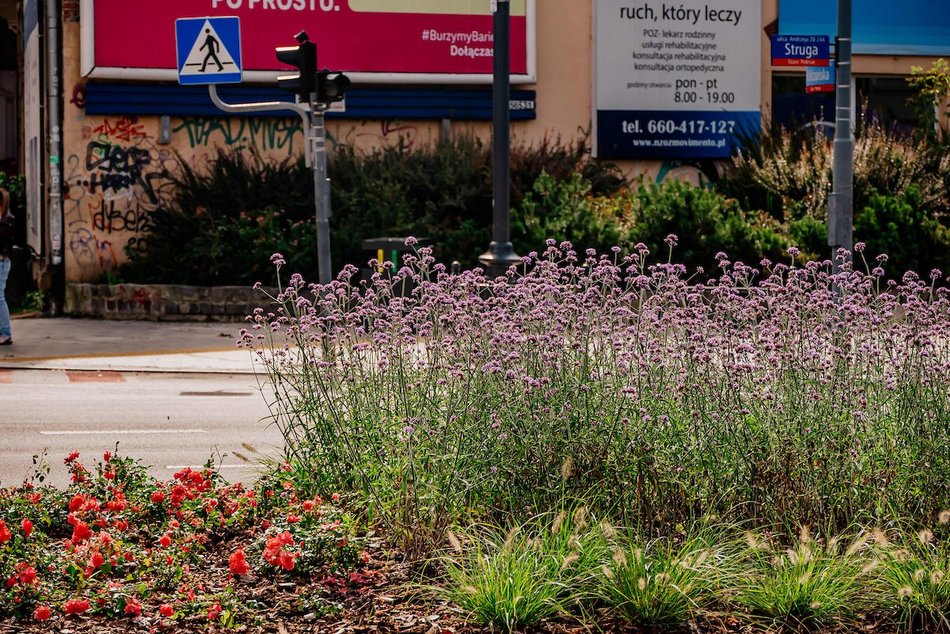 Łódź. Wrzesień w Łodzi potrafi zaskoczyć! Miasto wciąż tętni kolorami i zapachem kwiatów