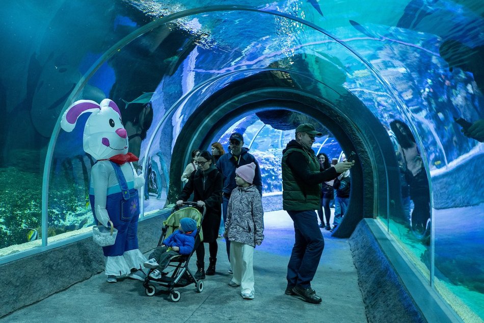 Łódź. Wielkanocny zając w Orientarium Zoo Łódź