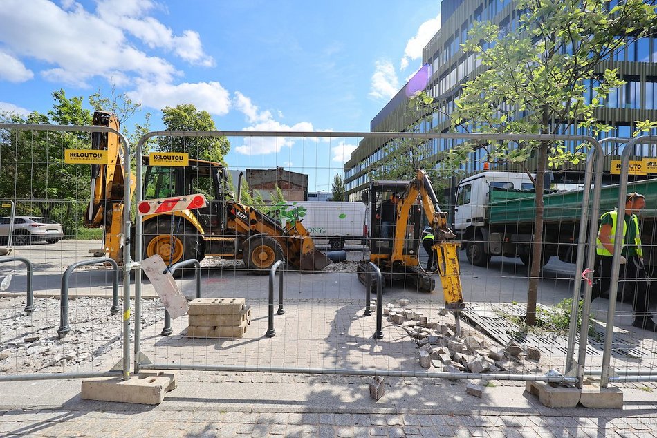 Łódź. Więcej zieleni w centrum! Zamiast betonu będą kolorowe byliny, krzewy i piękne rabaty