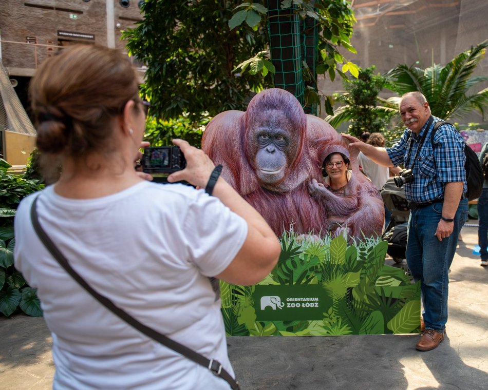 Orientarium Zoo Łódź w 2023 r. Nowe atrakcje. Motylarnia i pawilon zwierząt nocnych