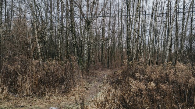 Góralska w Łodzi nie dla deweloperów! Zieleń ważniejsza niż zabudowa [ZDJĘCIA]