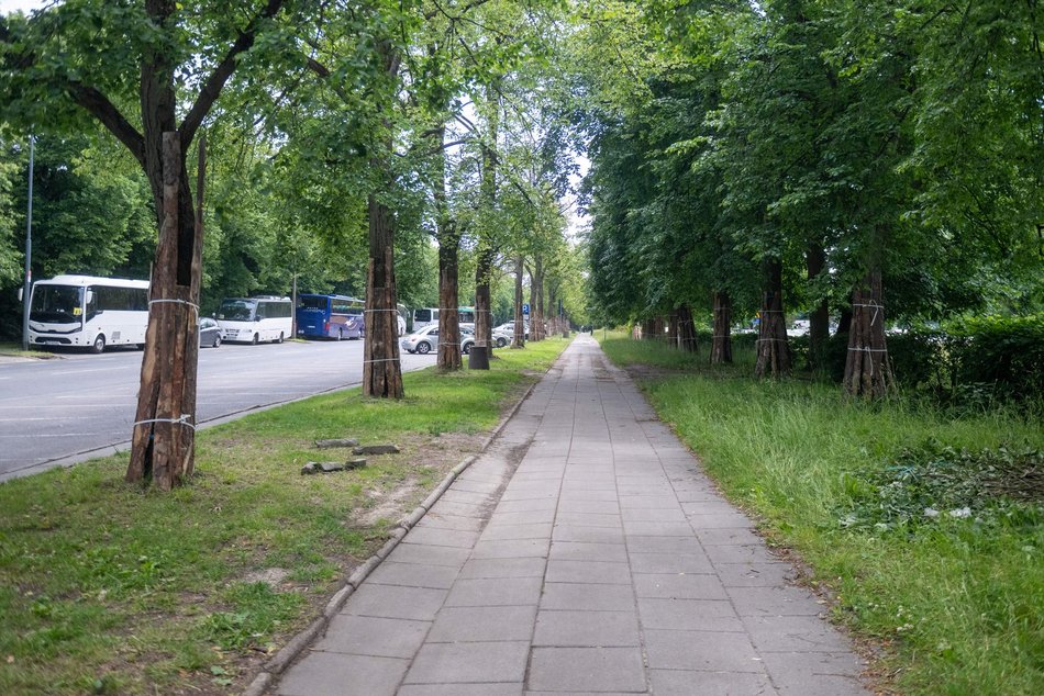 Łódź. Nowa droga rowerowa przy Unii Lubelskiej w Łodzi. Start prac już w wakacje!