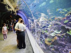 Łódź. Orientarium Zoo Łódź