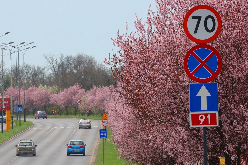 Wiosna rozgościła się w Łodzi!