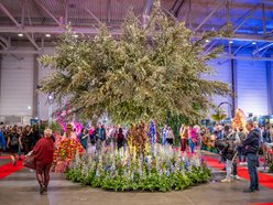 Łódź. World Flower Show w hali Expo Łódź. Przyjdź i zobacz orchidee, drzewa bonsai i sukulenty